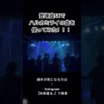 登場曲SEでハルカミライ使ってみた！ #インディーズ #バンド #ライブ #ハルカミライ