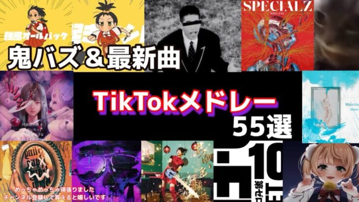 【TikTokメドレー】鬼バズ＆最新曲55選！