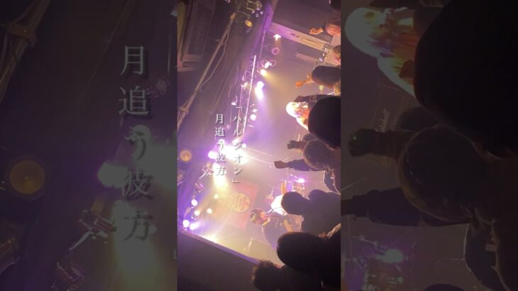 ハルジオン/月追う彼方　#邦ロック #おすすめ曲 #インディーズバンド #ライブ映像