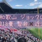 智弁和歌山 ジョックロック 2018 夏 智弁✖️近江