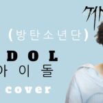BTS (방탄소년단) IDOL 「r&b」『cover by Keido』