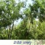 MENJELAJAHI TEMPAT WISATA BARU YANG BELUM PERNAH DI KUNJUNGI DI YOGYAKARTA..R&B STORY – RUMAH HOBIT