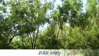 MENJELAJAHI TEMPAT WISATA BARU YANG BELUM PERNAH DI KUNJUNGI DI YOGYAKARTA..R&B STORY – RUMAH HOBIT