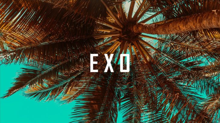 ”Exo” – Smooth Chil Rap Beat | Free R&B Hip-Hop Instrumental Music 2018 (Instru by K.M.Beats)