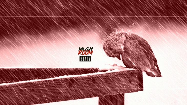 ”Twisted” R&B/Soul Trap Instrumental By Mushroom Beatz