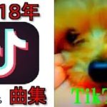 【2018年】TikTokでよく使われる曲集【洋楽ダンスメドレー】