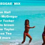 レゲエ　名曲　ラバーズ　 (reggae lovers mix) Mix by Shining Soldier