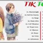 TikTok ☆ EDM R&B POP ☆ Part 3