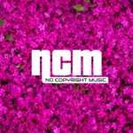 John Deley – Hear the noise [NoCopyrightMusic] – R&B & Soul – Video 63