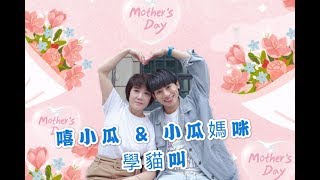 嘻小瓜 – 學貓叫 R＆Ｂ　ＲＥＭＩＸ　Say Meow Meow (FEAT 小瓜媽咪 )