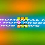 INSTRUMENTAL (R&B & HIP HOP) PRODS BY ROB DAWG