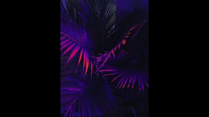 *New* Chris Brown/Drake R&B Type Beat “Privet Summer House”
