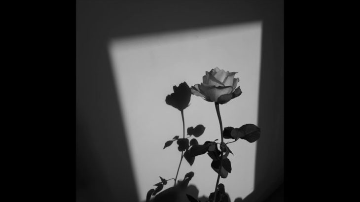 Bryson Tiller Type Beat | R&B / Trapsoul Instrumental | “Show You Love”