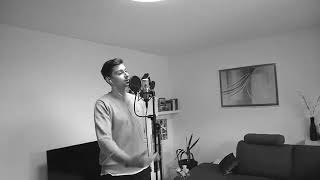 Bushido Schmetterling in R&B Version