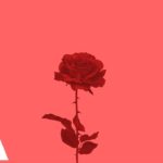 [FREE] Bryson Tiller x Ty Dolla Sign Type Beat – “Red Roses” R&B/Trap Soul Smooth Instrumental 2019