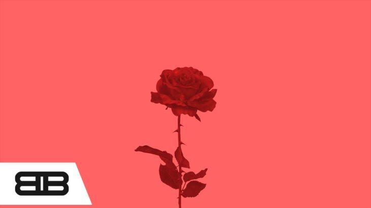 [FREE] Bryson Tiller x Ty Dolla Sign Type Beat – “Red Roses” R&B/Trap Soul Smooth Instrumental 2019