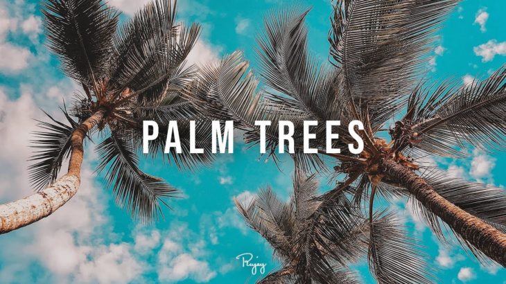 “Palm Trees” – Happy Summer Rap Beat | R&B Hip Hop Instrumental Music 2019 | Ihaksi #Instrumentals