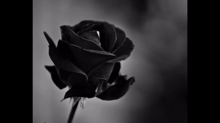 krEEzy Beatz – Black Rose – R&B Trap Instrumental