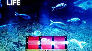 R&B系バラード 女性ボーカル【LIFE】サンプル