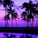 R&B Type Beat Instrumental 2020- Chill [Prod. Tom Padey Beats]