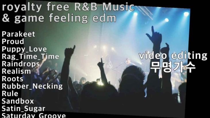 royalty free R&B Music & game feeling edm