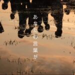 【インディーズバンド　オリジナル曲】music makes me… -ことのは 【MV】